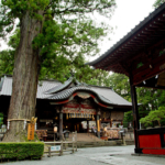 太郎杉と拝殿