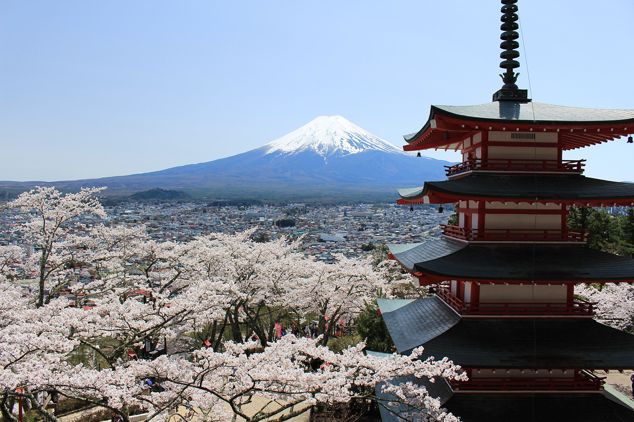 忠霊塔 富士山と桜と五重塔 外国人にも人気のベストビュー 河口湖 Net