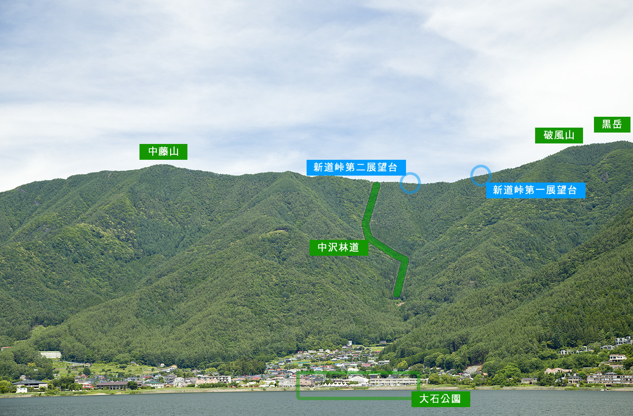 新道峠 富士山と河口湖の絶景ビュー 河口湖 Net