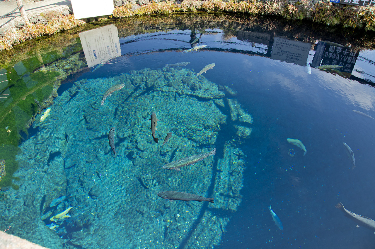 circular pond in the center of Nakaike pond